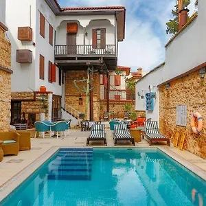 Hotel Atelya Art